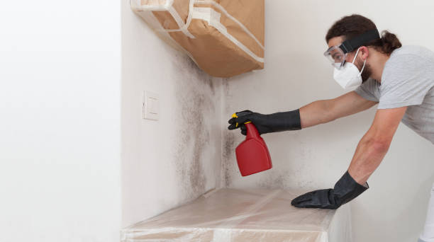 Professional Mold Testing technician working in Wauconda, IL