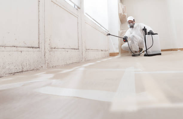 24/7 Emergency Mold Testing experts in Wauconda, IL